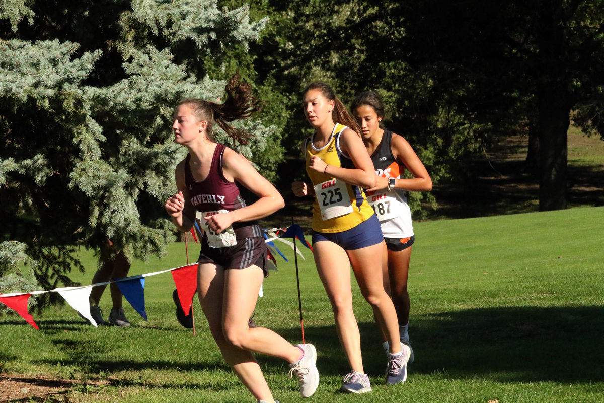 York Cross Country Invite (19).jpg